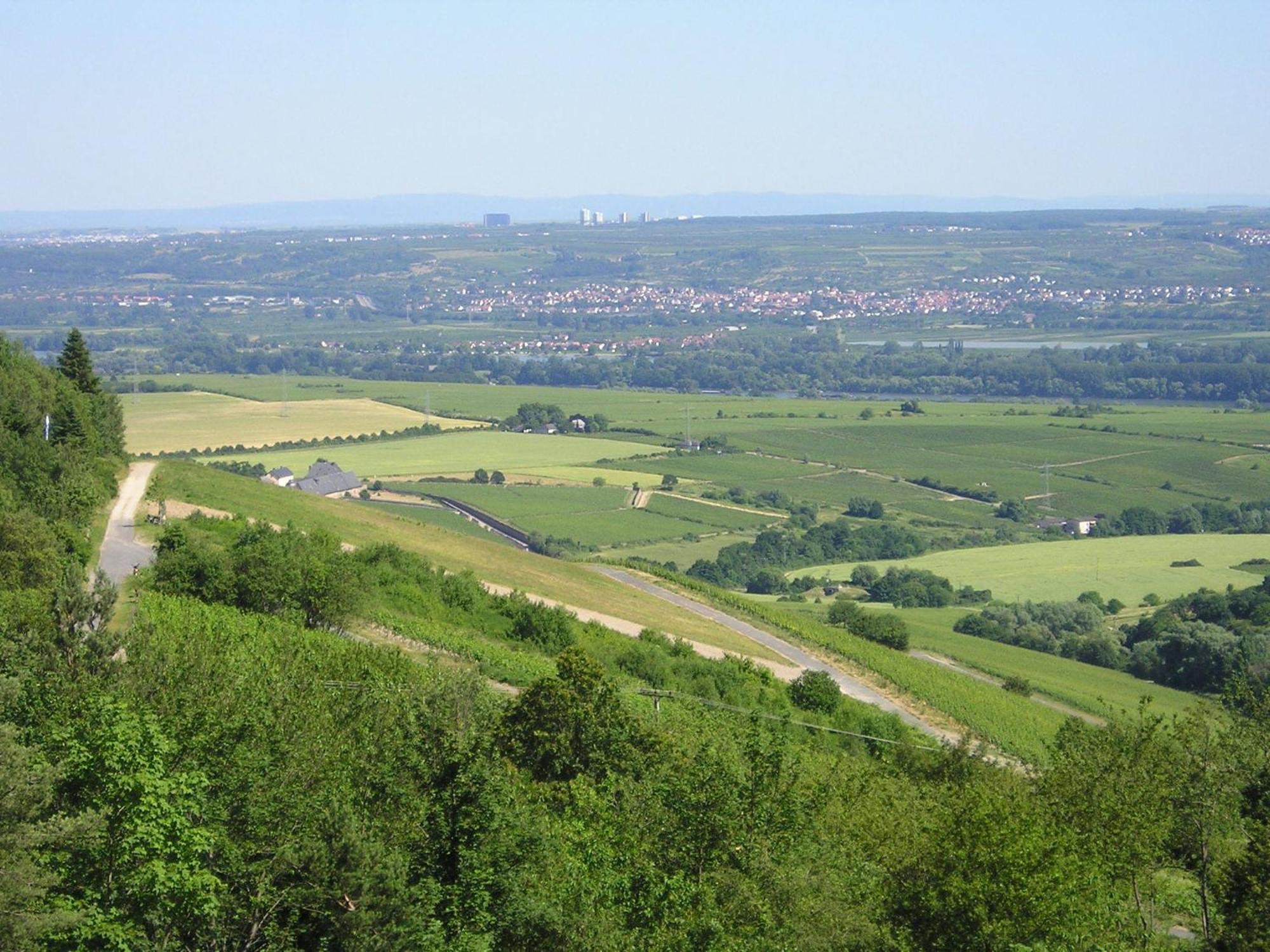 Zum Rebhang Bed & Breakfast Oestrich-Winkel Eksteriør bilde