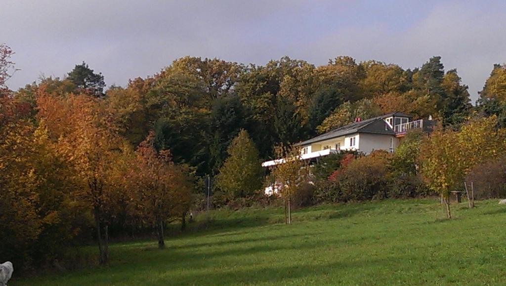 Zum Rebhang Bed & Breakfast Oestrich-Winkel Eksteriør bilde