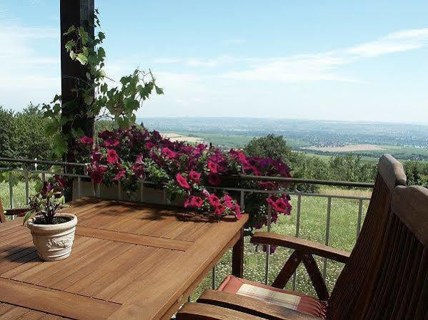 Zum Rebhang Bed & Breakfast Oestrich-Winkel Eksteriør bilde